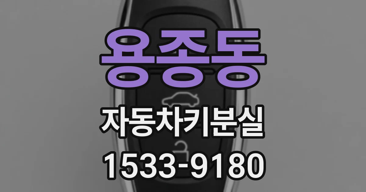 용종동 자동차키분실