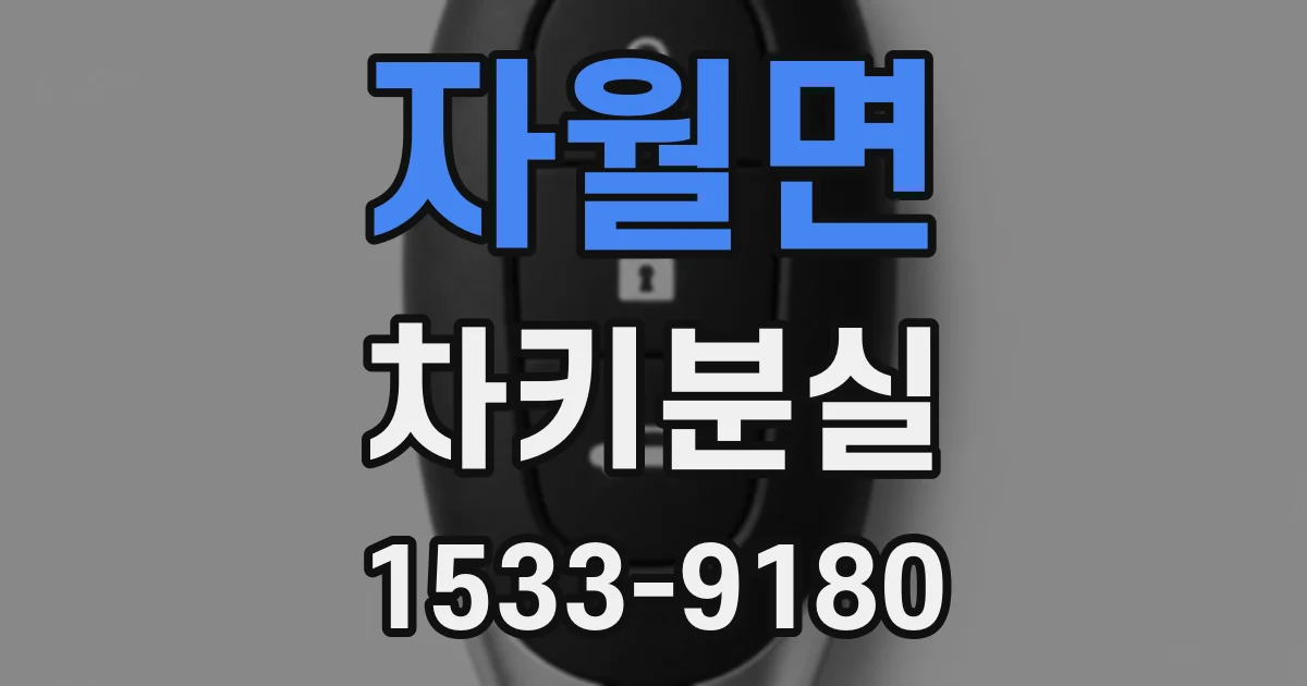 자월면 차키분실