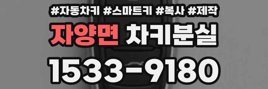 자양면 차키분실