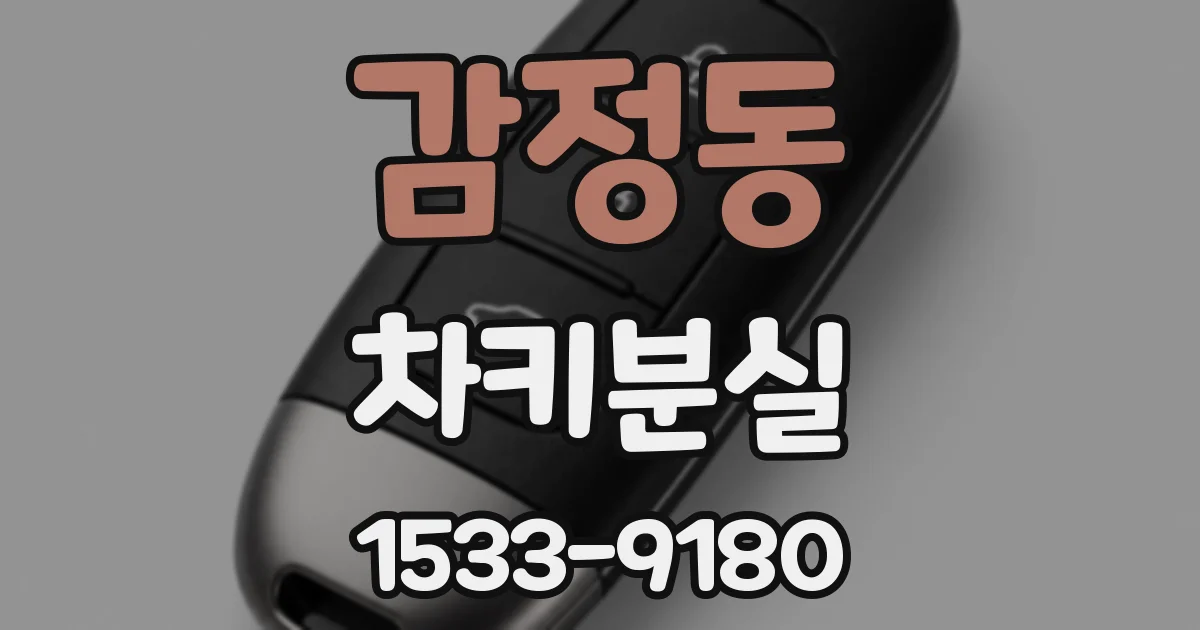감정동 차키분실
