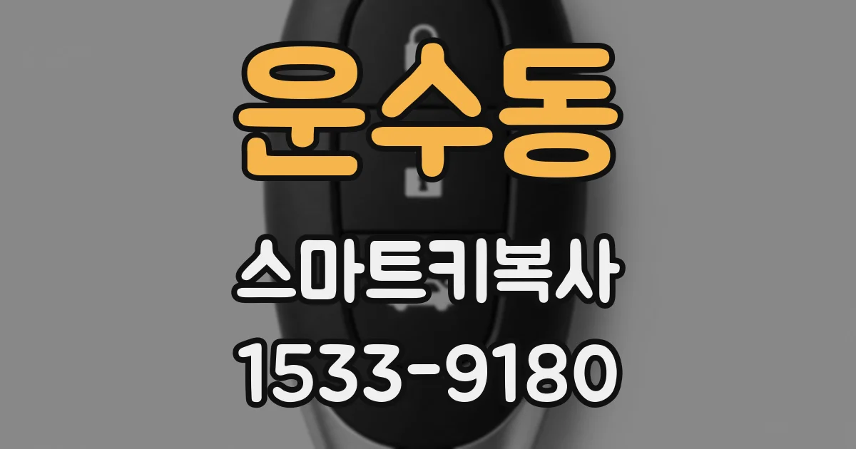 운수동 스마트키복사
