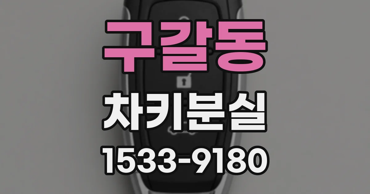구갈동 차키분실