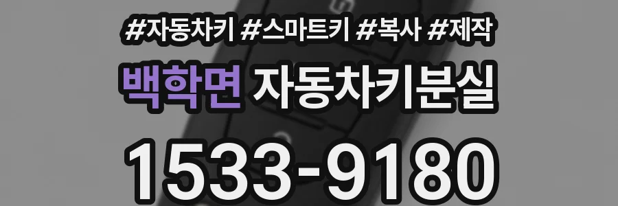 백학면 자동차키분실