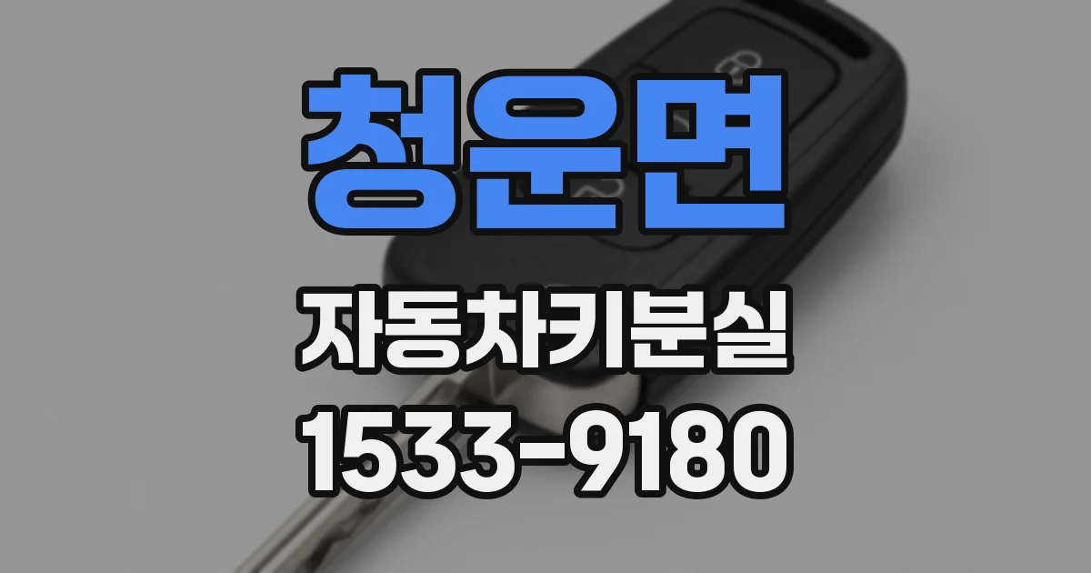 청운면 자동차키분실