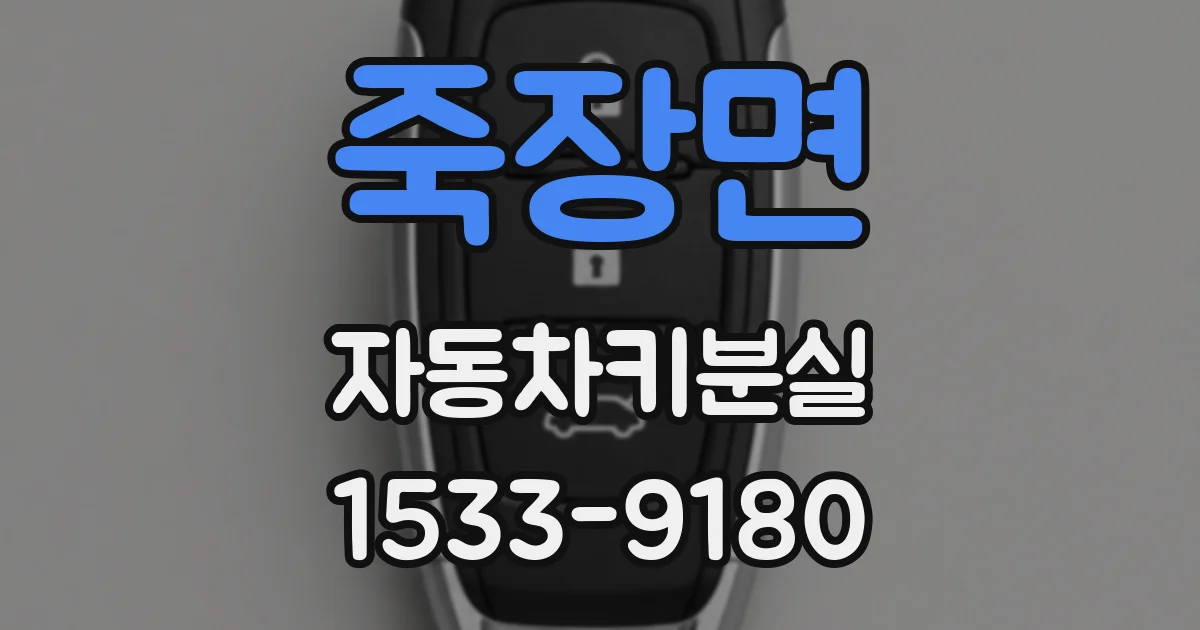 죽장면 자동차키분실