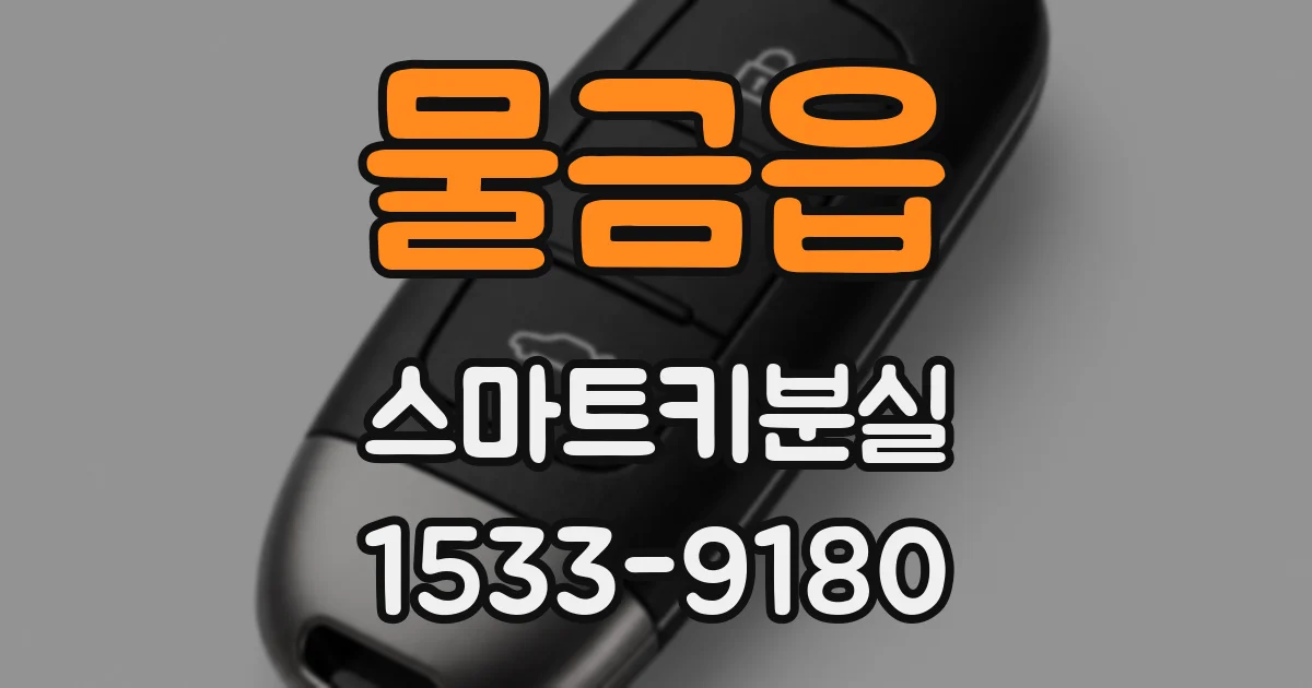 물금읍 스마트키분실