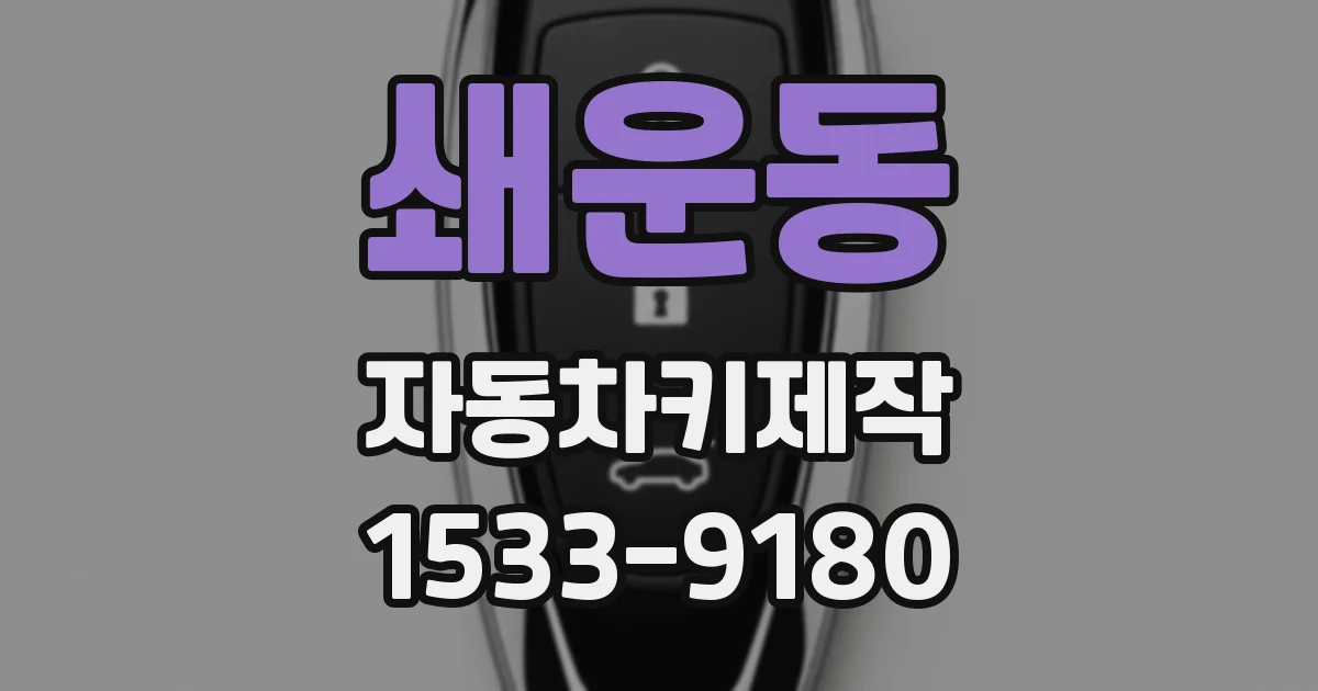 쇄운동 자동차키제작