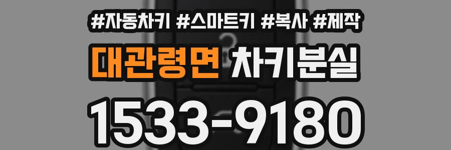 대관령면 차키분실