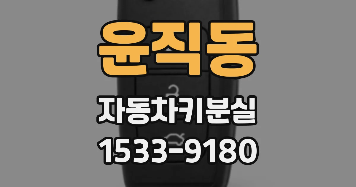 윤직동 자동차키분실