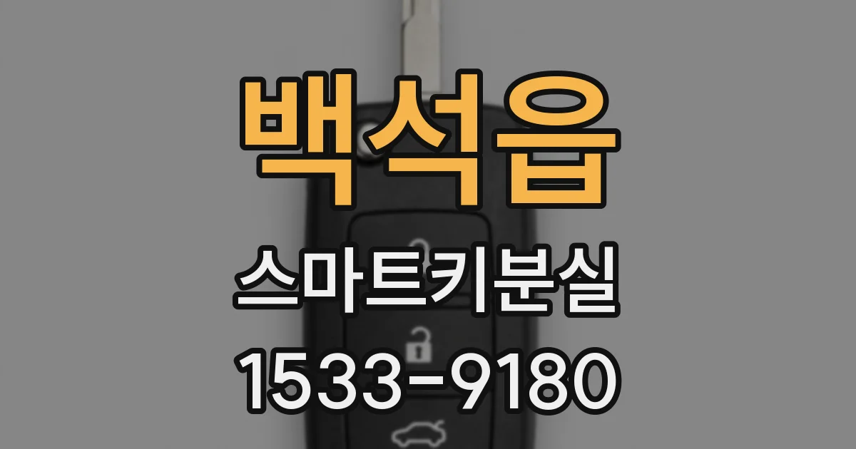 백석읍 스마트키분실