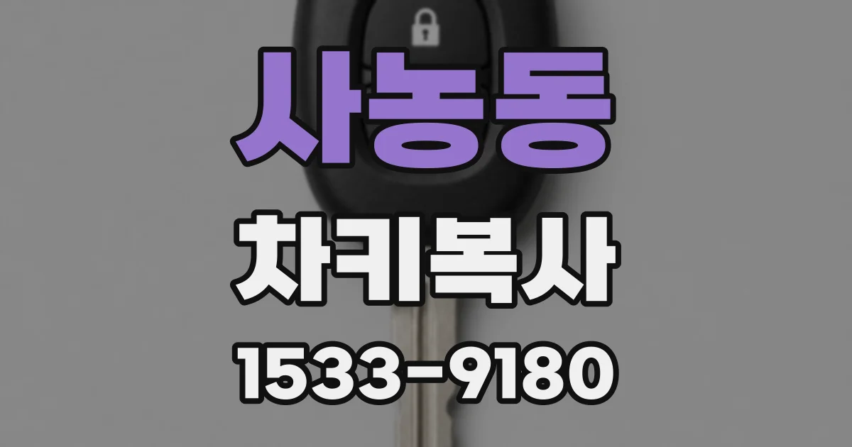 사농동 차키복사