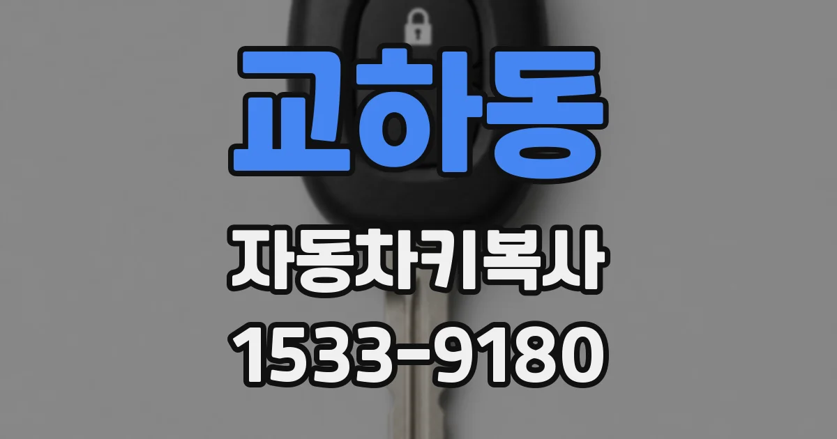 교하동 자동차키복사