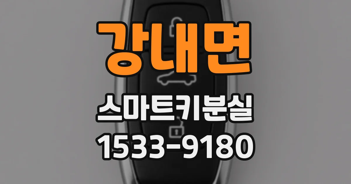 강내면 스마트키분실