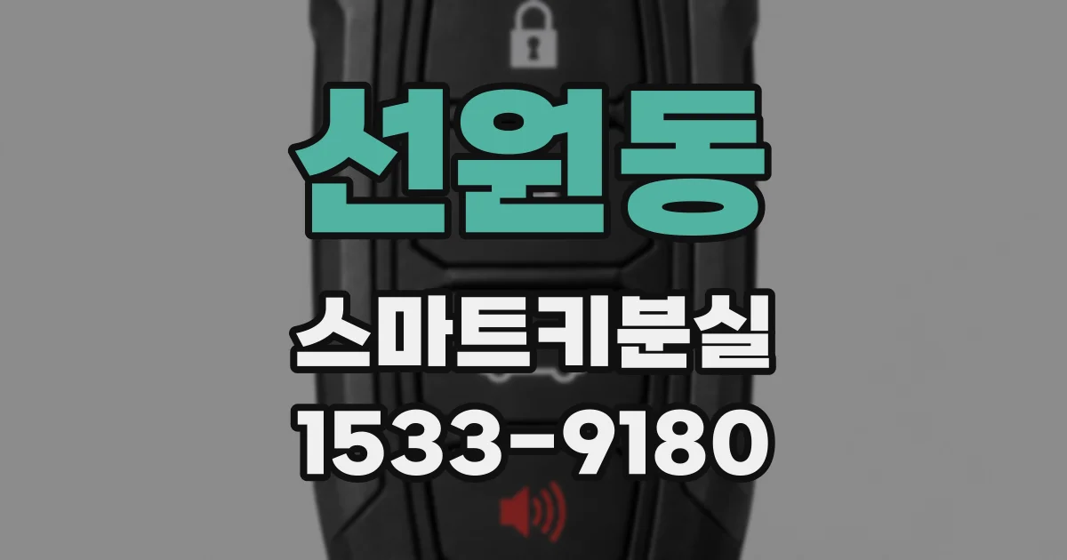 선원동 스마트키분실