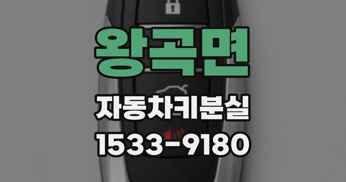왕곡면 자동차키분실