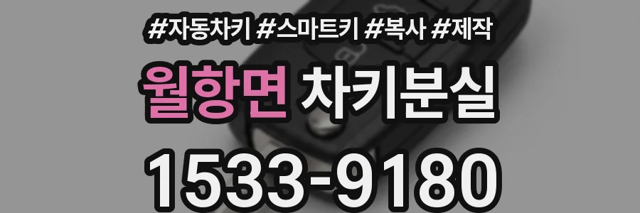 월항면 차키분실