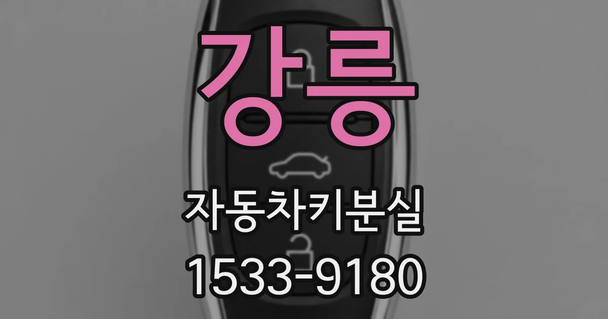강릉 자동차키분실