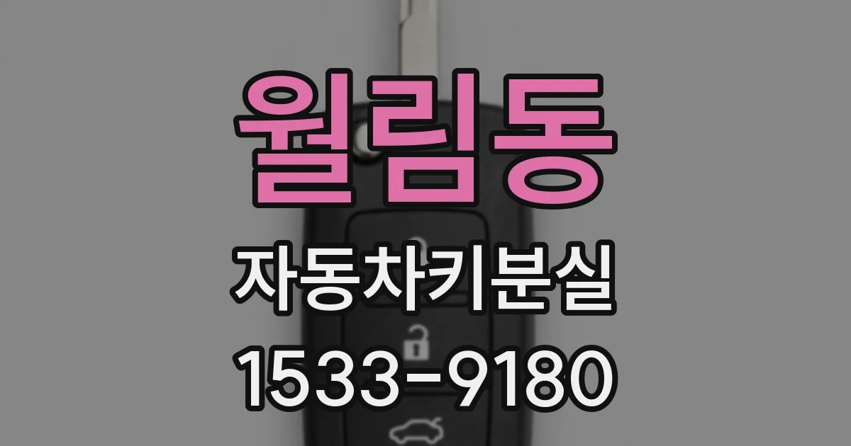 월림동 자동차키분실
