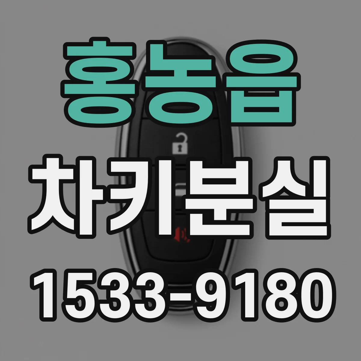 홍농읍 차키분실