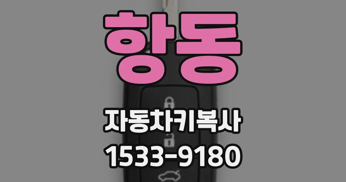 항동 자동차키복사