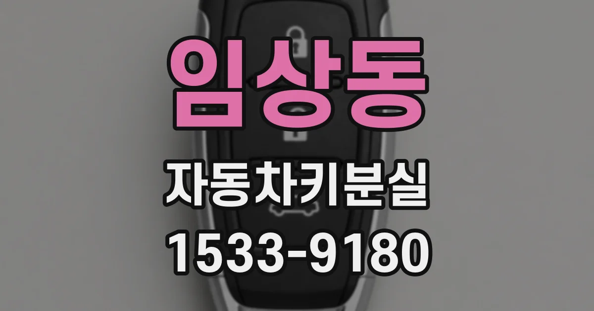 임상동 자동차키분실