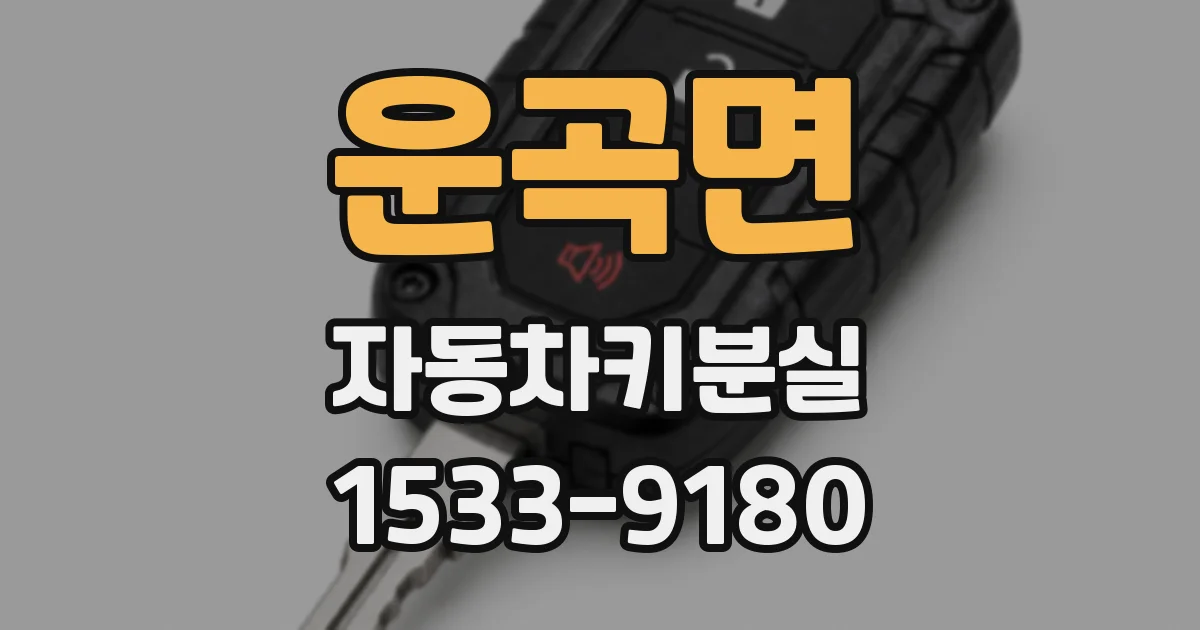 운곡면 자동차키분실