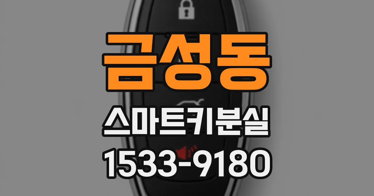 금성동 스마트키분실
