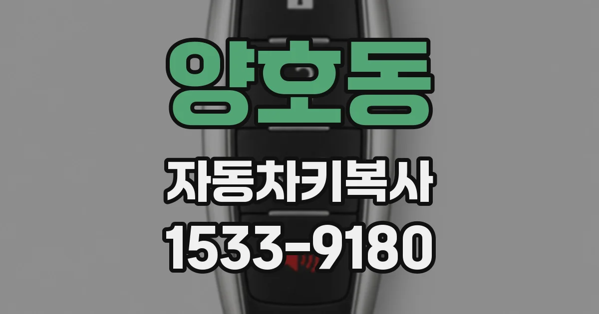 양호동 자동차키복사