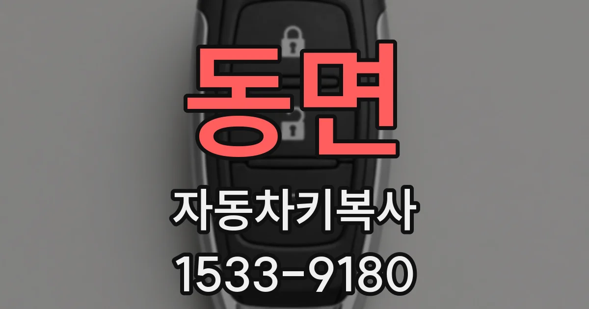동면 자동차키복사