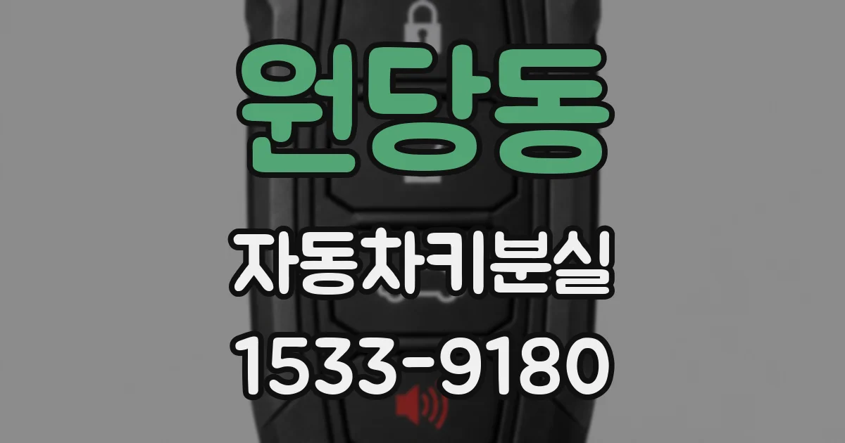 원당동 자동차키분실