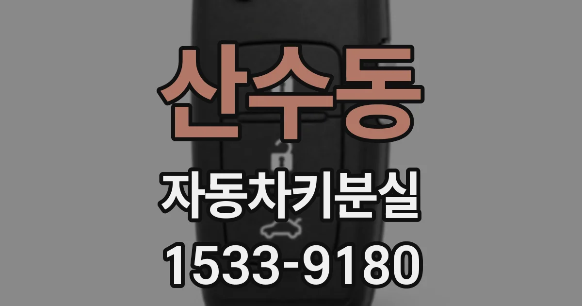 산수동 자동차키분실