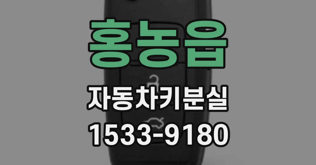 홍농읍 자동차키분실