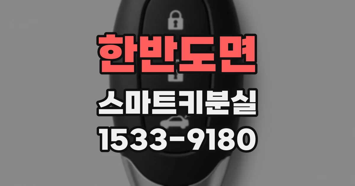 한반도면 스마트키분실