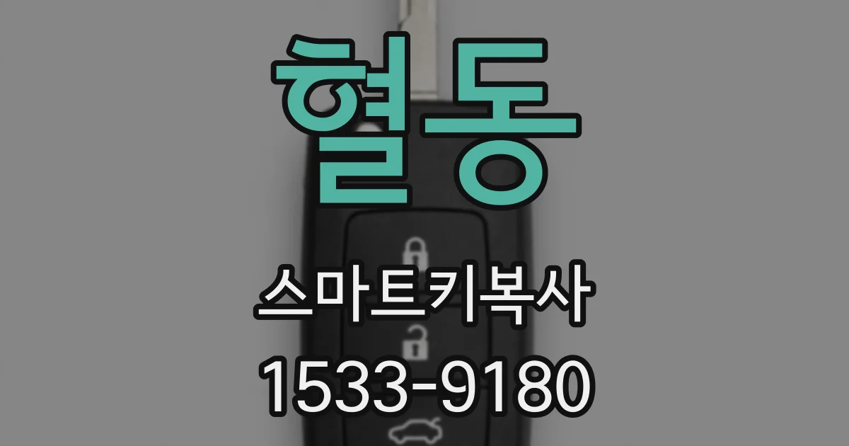 혈동 스마트키복사