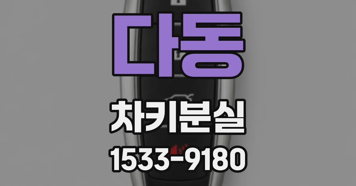다동 차키분실