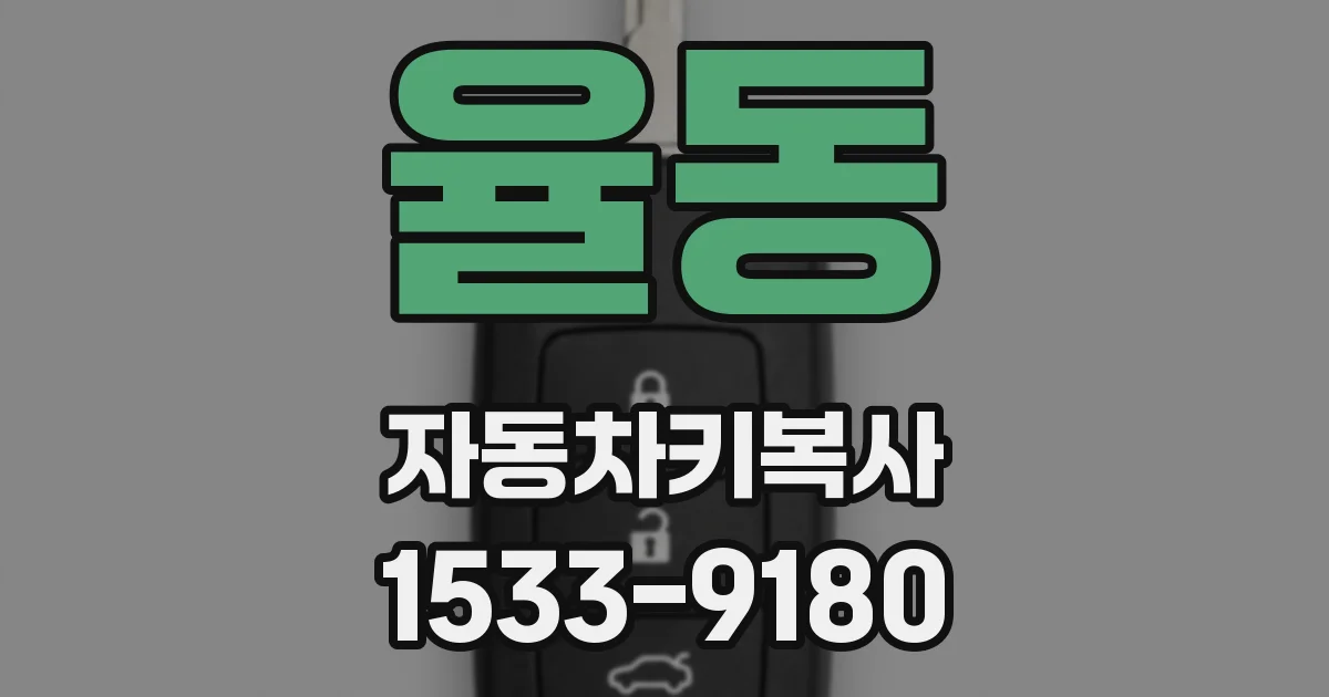 율동 자동차키복사