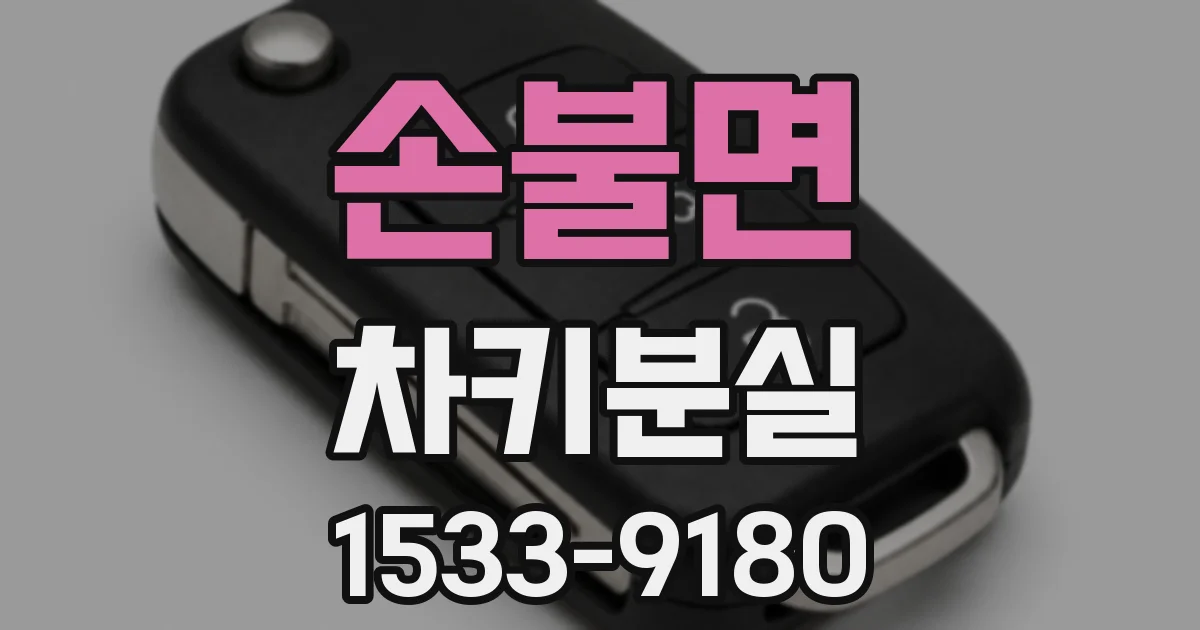 손불면 차키분실