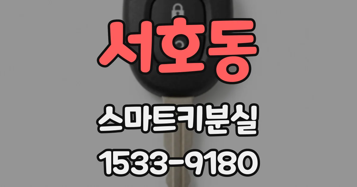 서호동 스마트키분실