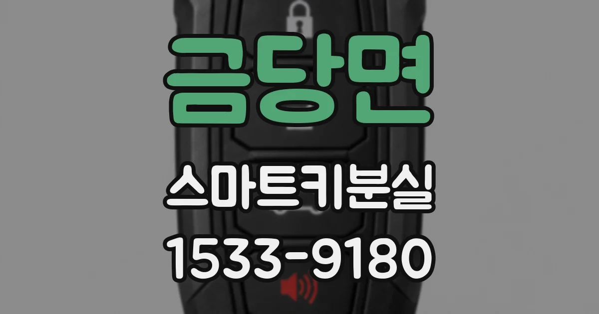 금당면 스마트키분실