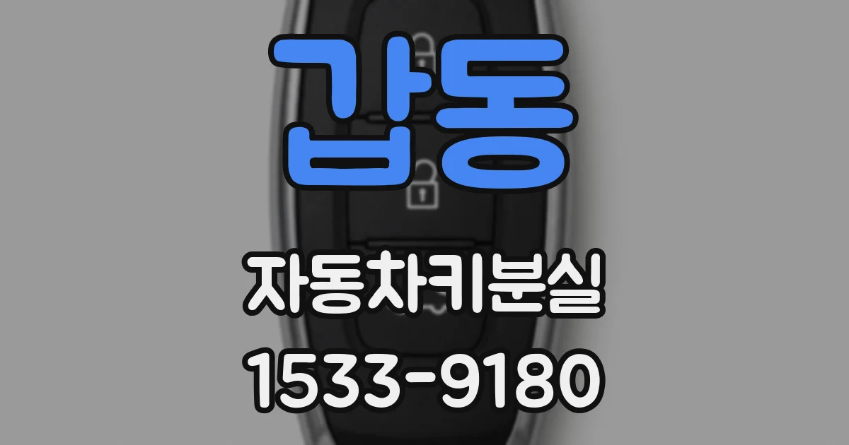 갑동 자동차키분실