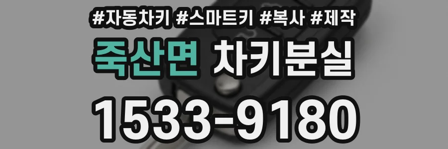 죽산면 차키분실