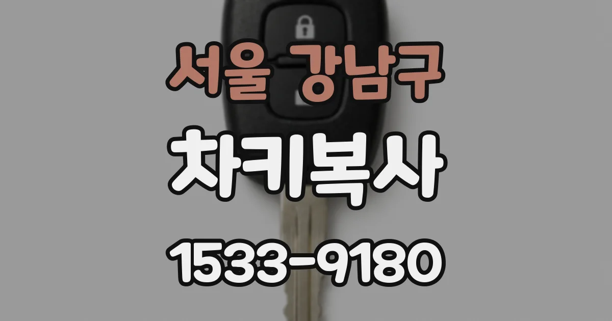 서울 강남구 차키복사
