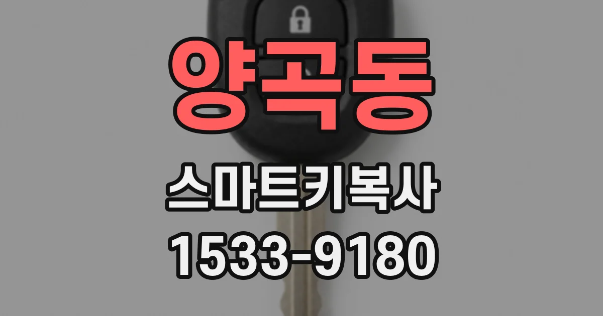 양곡동 스마트키복사