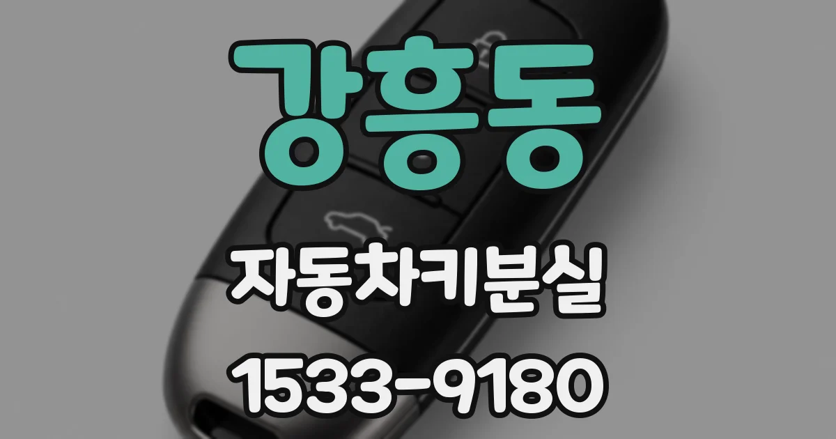 강흥동 자동차키분실