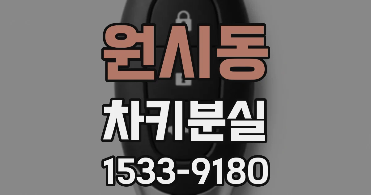 원시동 차키분실