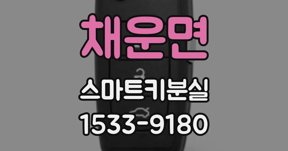 채운면 스마트키분실