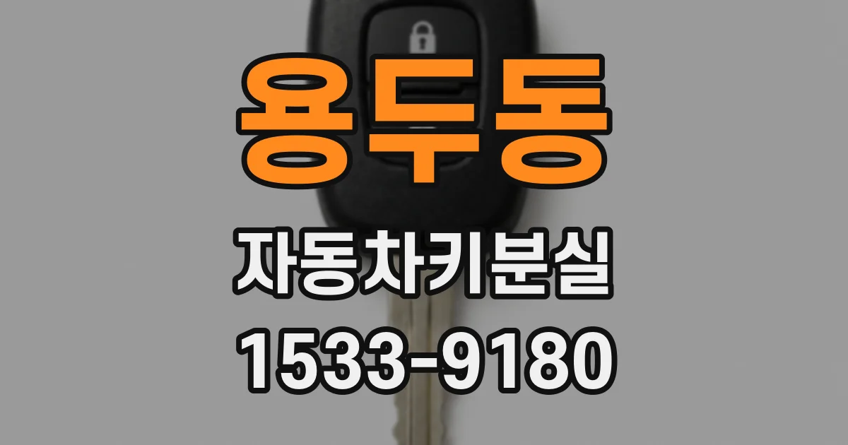 용두동 자동차키분실
