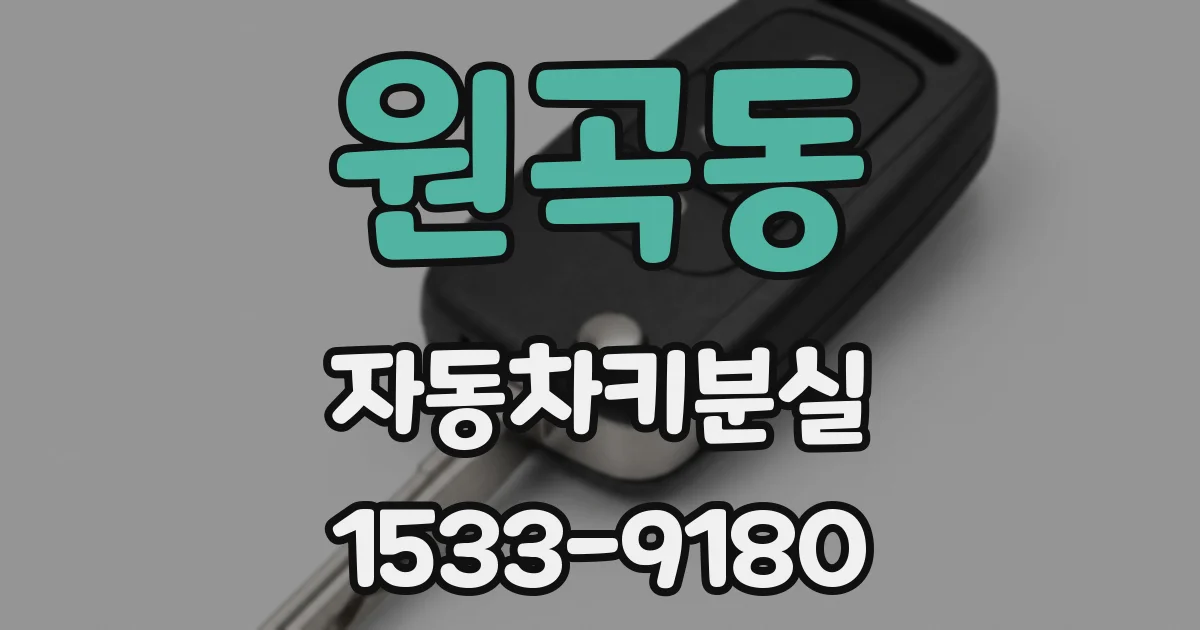 원곡동 자동차키분실
