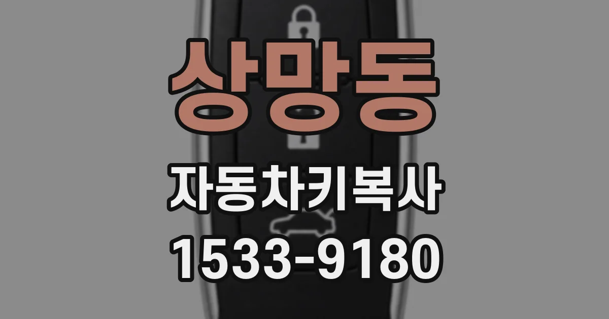 상망동 자동차키복사
