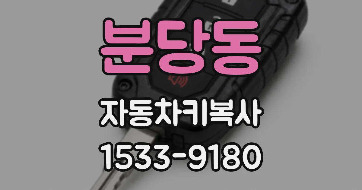 분당동 자동차키복사